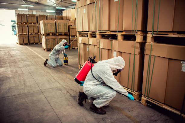 Best Flea Control Services  in Wilson Conococheague, MD