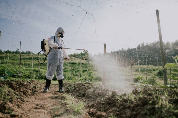 Best Pest Control Cost  in Wilson Conococheague, MD