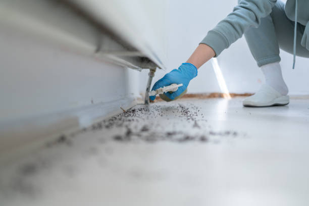 Best Pest Prevention Services  in Wilson Conococheague, MD